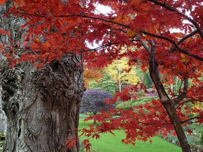 Fall at Butchart Gardens, Victoria, B.C., Canada