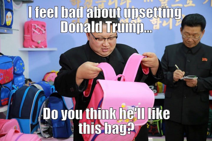 A bag fro Trump