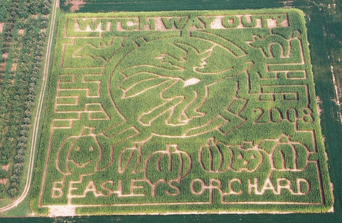 Crazy Corn Field Maze