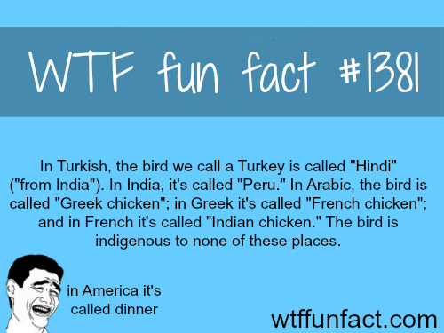 Fun Facts!