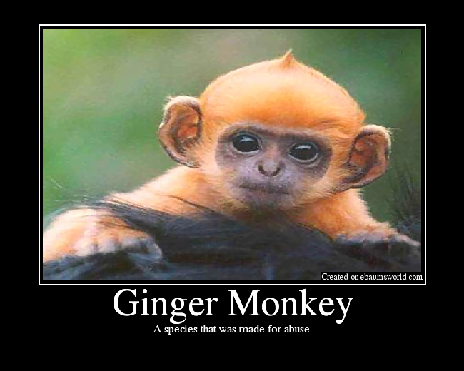 Ginger Monkey Picture eBaum's World