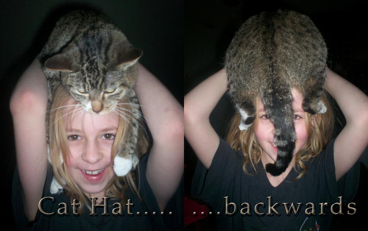 wearing a cat hat and wearing hat backwards