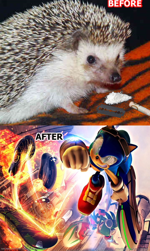 The true pictures of how sonic became an badass hedgehog.