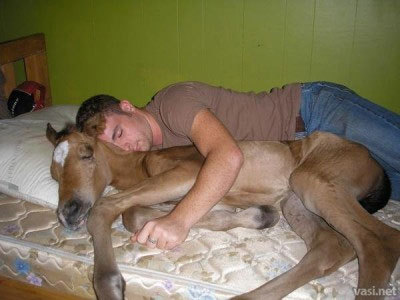 He loves his little pony.