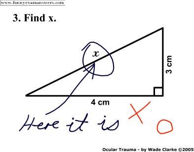 funny exam answers cont.