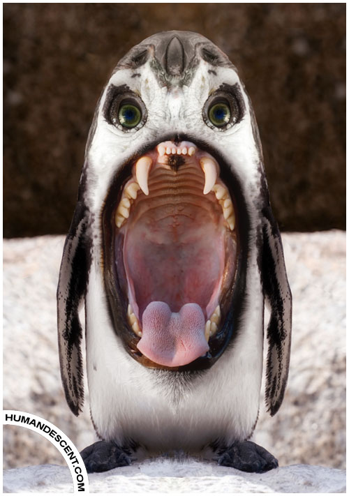 Photoshopped Hybrid Animals - Gallery
