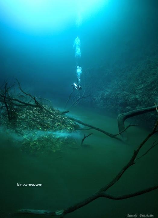 Amazing Underwater River  Cenote Angelita in Mexico
