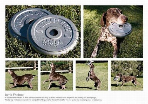 random pic guerilla marketing dog food - lams Frisbee A targeted betonba nd bring to the b o dog Fri h e ted for d y dogs it