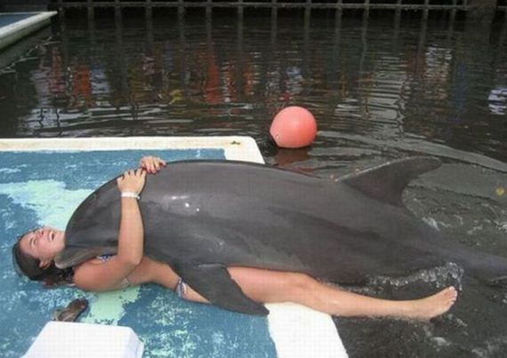 dolphin on top of a girl