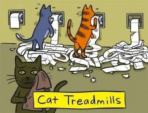 random pic cat treadmill cartoon - Cat Treadmills