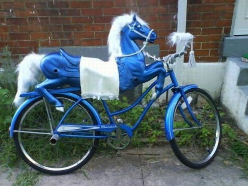 horse bike