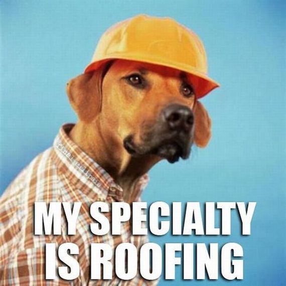 my specialty is roofing - My Specialty Is Roofing