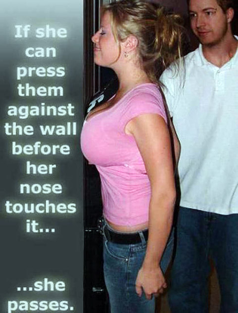 boob nose test - If she can press them against the wall before her nose touches it... ...she passes.