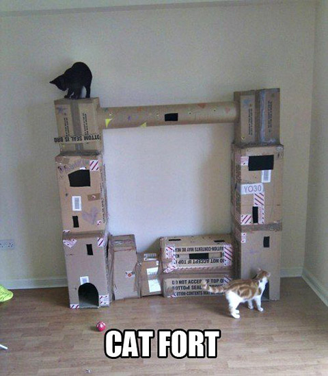cat house made of boxes - YO30 La Sensa dOL Londe Not Accep 'F Top On Sottom Seal Cat Fort