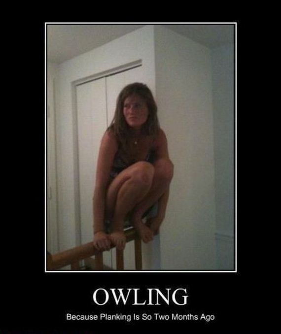 owling planking - Owling Because Planking Is So Two Months Ago