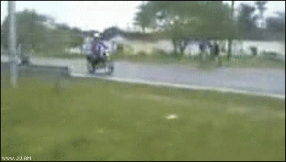 Meanwhile on the internet... GIFS!