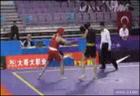 Meanwhile on the internet... GIFS!