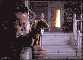 Meanwhile on the internet... GIFS!