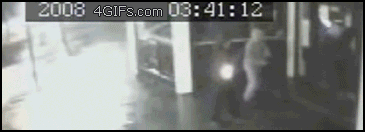 Meanwhile on the internet... GIFS!