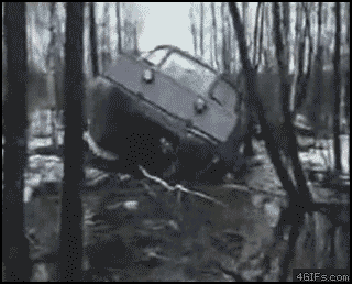 Meanwhile on the internet... GIFS!