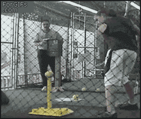 Meanwhile on the internet... GIFS!