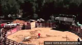 Meanwhile on the internet... GIFS!