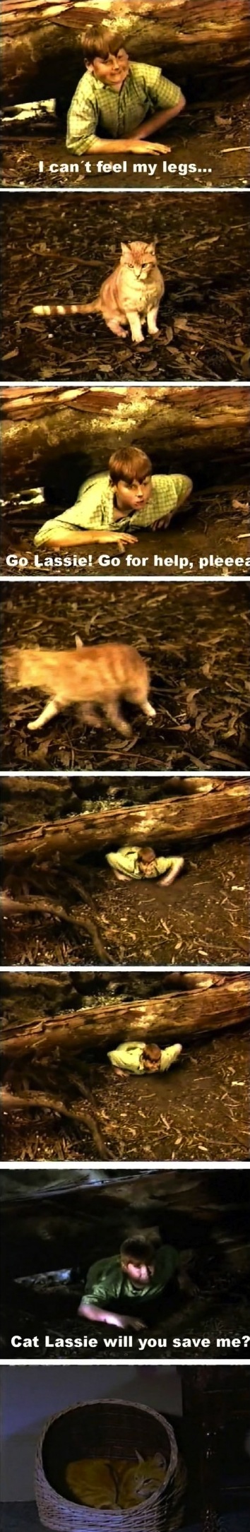 Meanwhile on the internet... crazy pictures