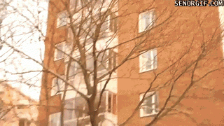 Meanwhile on the internet... crazy pictures