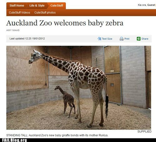 Meanwhile on the internet... crazy pictures