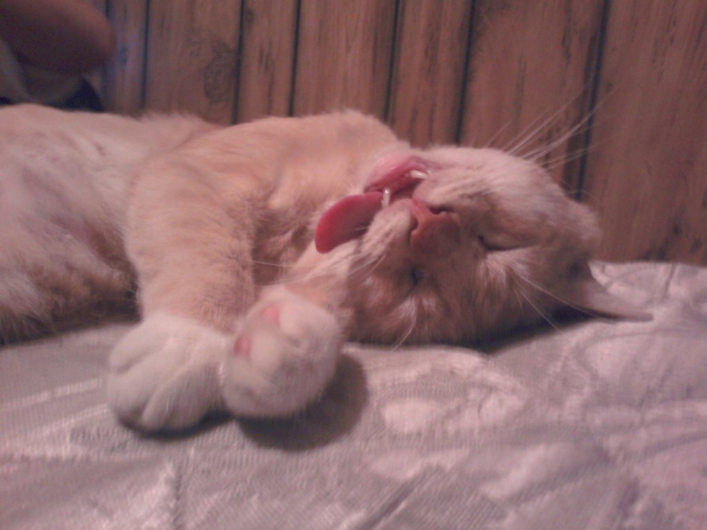 Meanwhile on the internet... crazy pictures