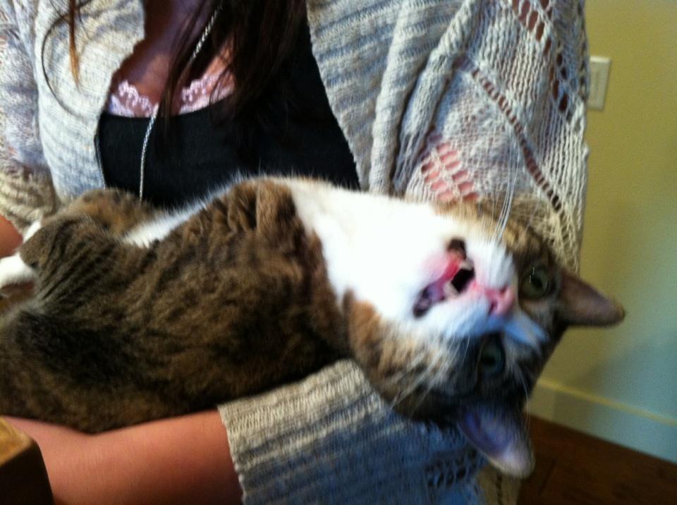 Meanwhile on the internet... crazy pictures