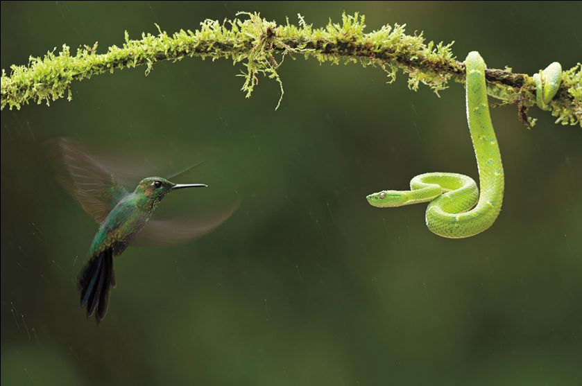 Meanwhile on the internet... crazy pictures