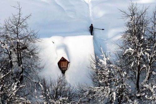 Meanwhile on the internet... crazy pictures