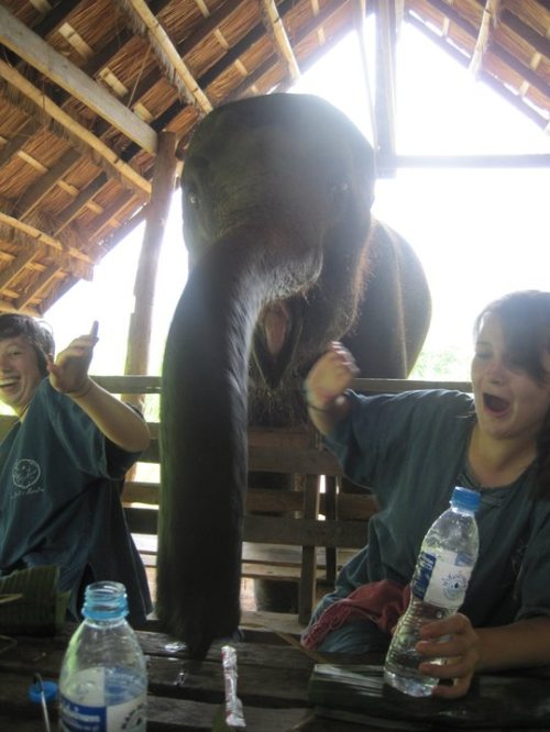 Meanwhile on the internet... crazy pictures