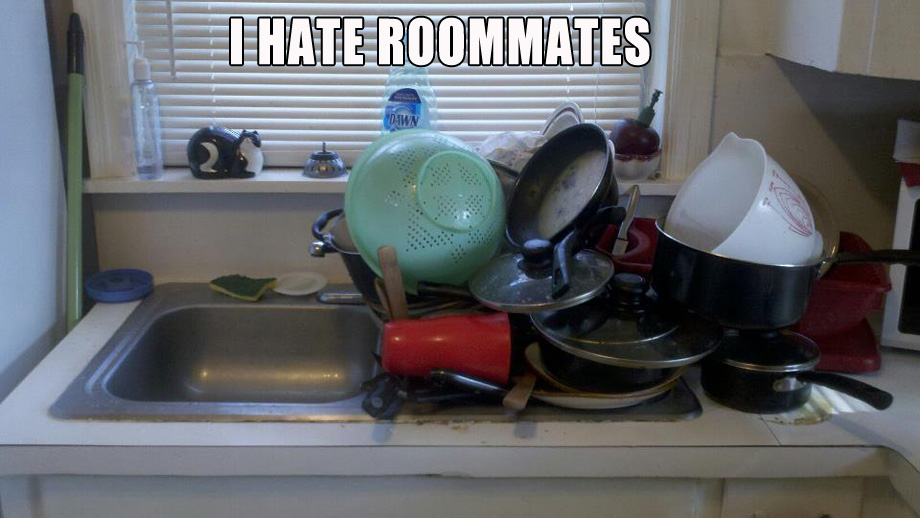 Meanwhile on the internet... crazy pictures