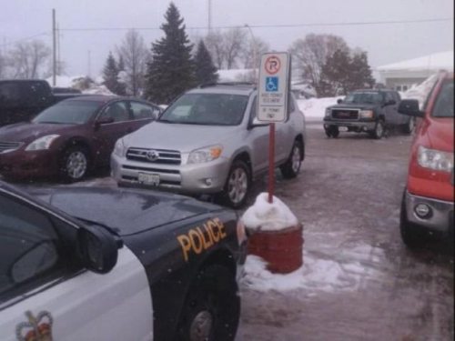 Meanwhile on the internet... crazy pictures