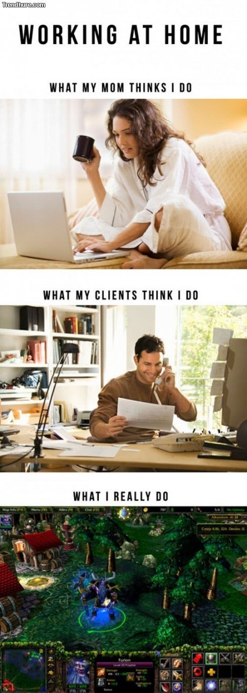 Meanwhile on the internet...