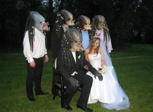 Meanwhile on the internet...