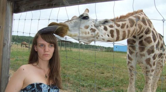 Meanwhile on the internet...