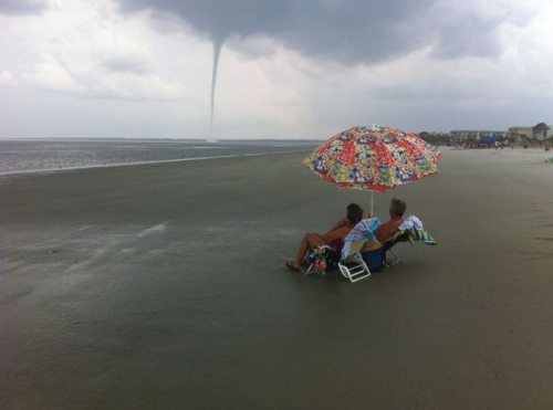 Meanwhile on the internet...