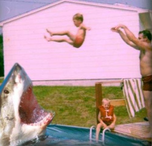 Meanwhile on the internet...