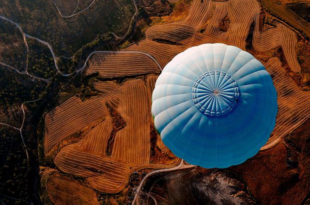 Meanwhile on the internet...