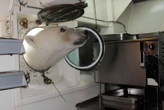 Meanwhile on the internet...