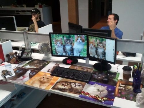 Meanwhile on the internet...