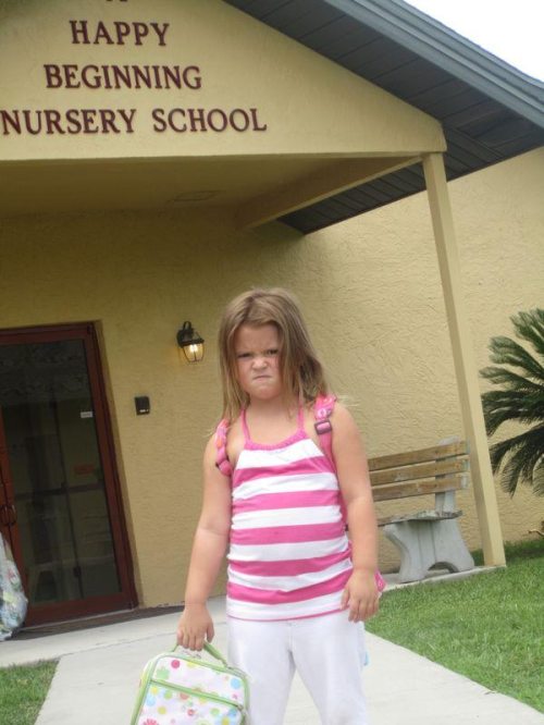 Meanwhile on the internet...