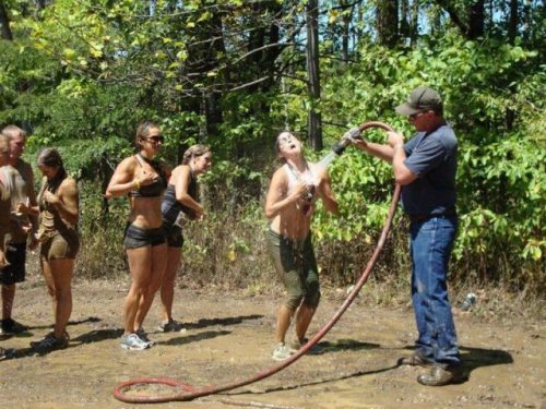 Meanwhile on the internet...