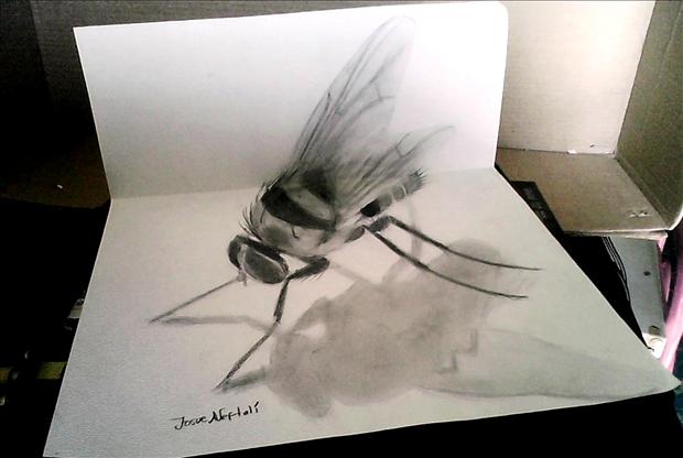 Amazing 3D drawings