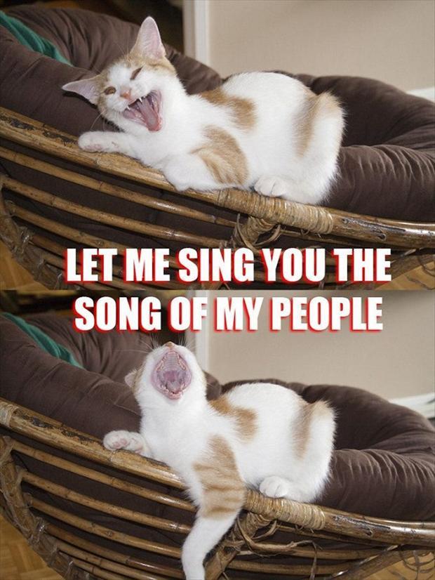 Let me play you the song of my people
