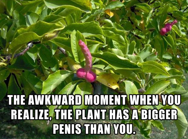 Best of awkward moments