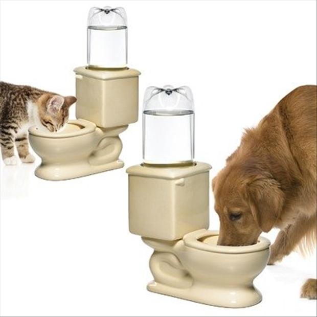 toilet water bowl for dogs